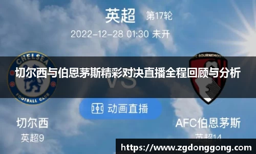 zoty中欧官网