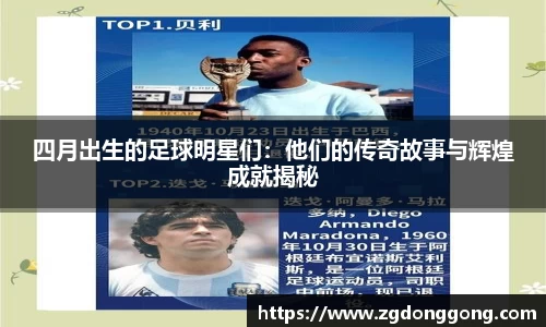 zoty中欧官方网站